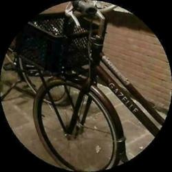 gazelle nl