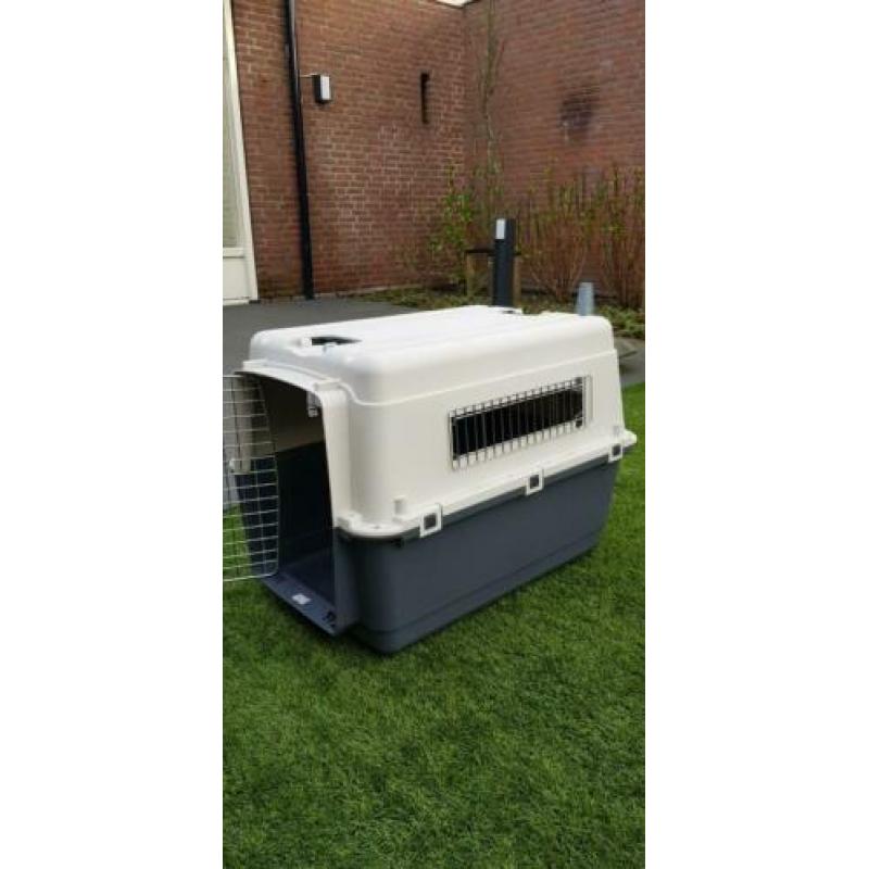 Bench Kennel Hond