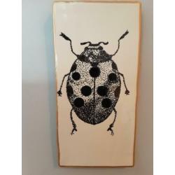 Handbeschilderd tegeltje 'lieveheersbeestje'