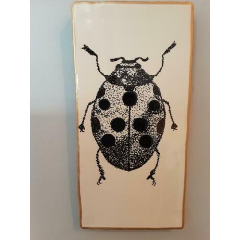 Handbeschilderd tegeltje 'lieveheersbeestje'