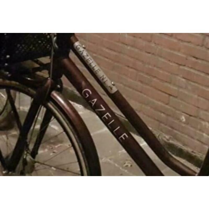 gazelle nl