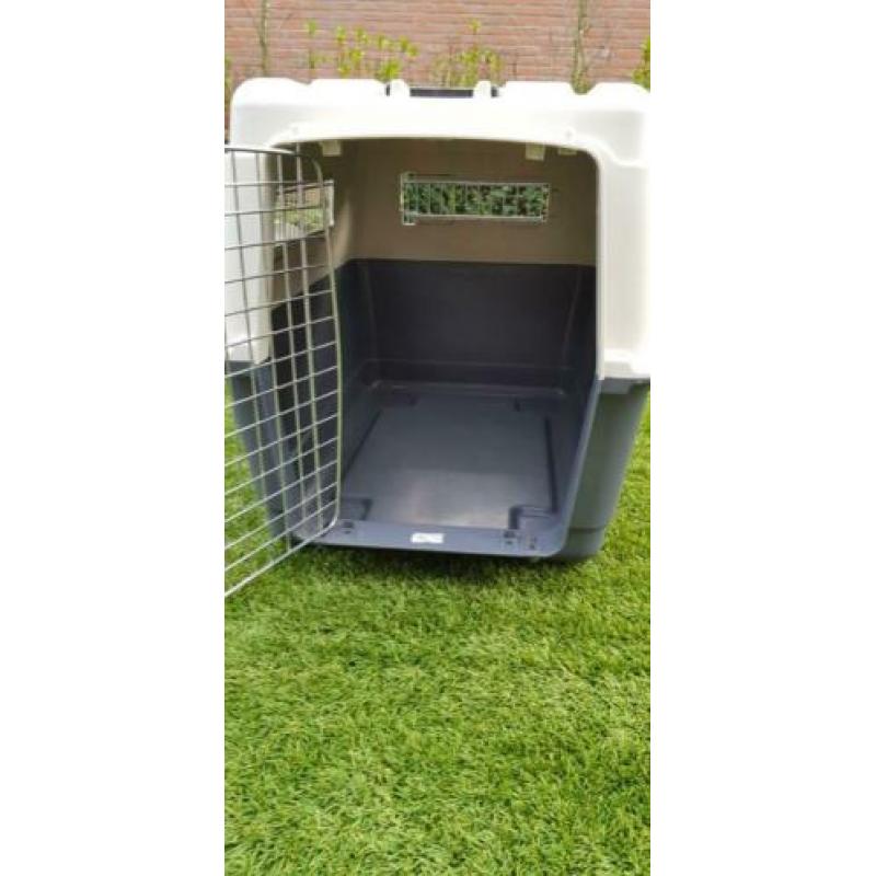 Bench Kennel Hond