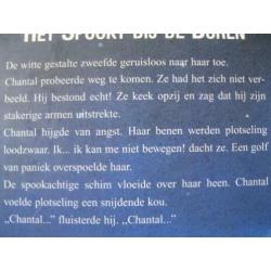 jeugd: Kippenvel: Het Spookt bij de Buren, R. L. Stine