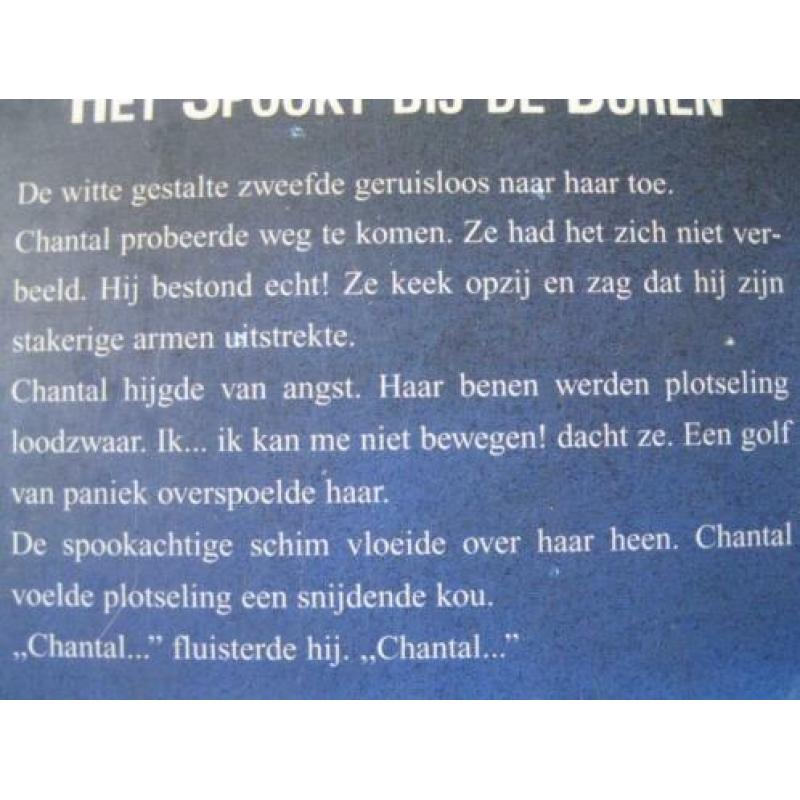jeugd: Kippenvel: Het Spookt bij de Buren, R. L. Stine