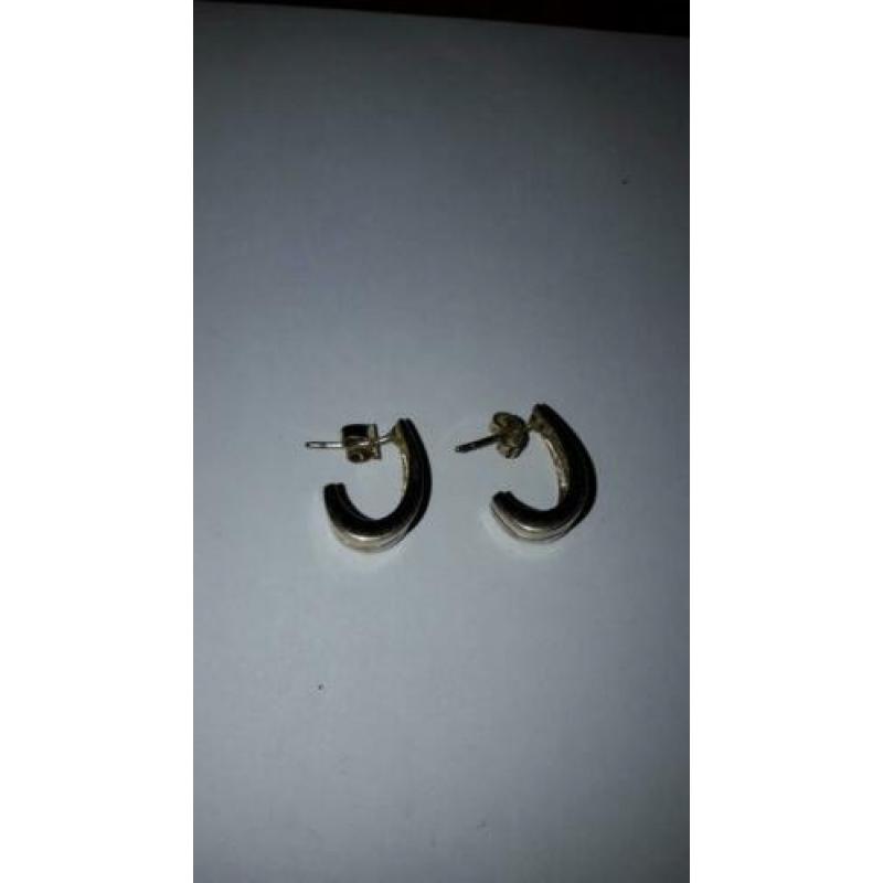 Oorbellen goud op zilver