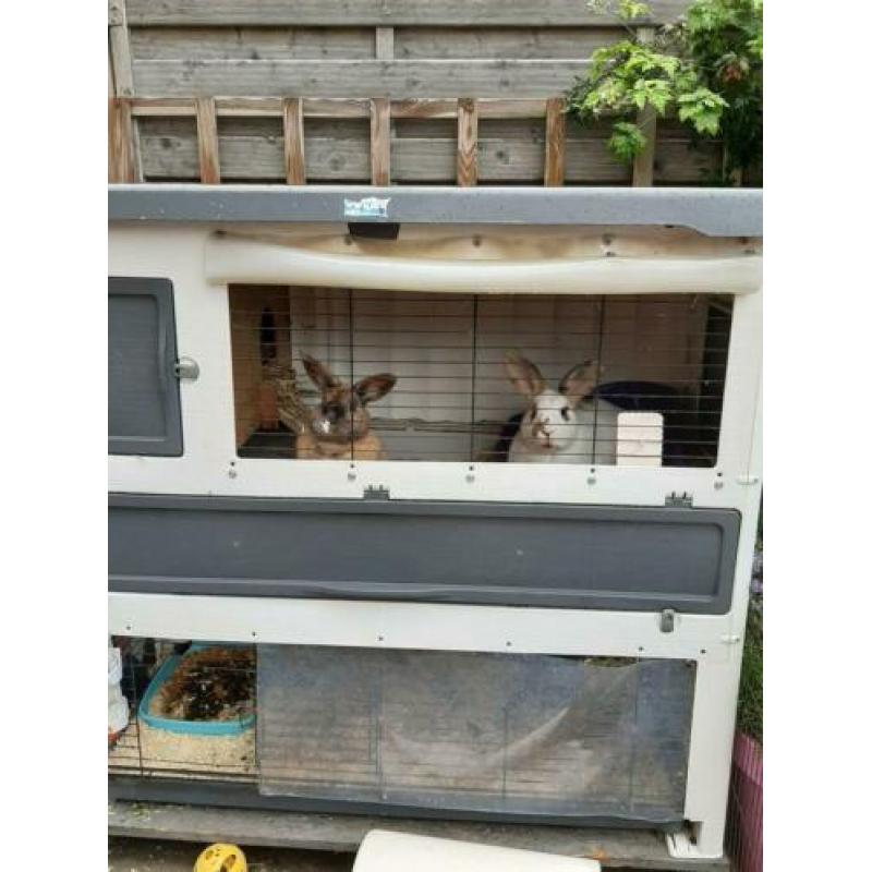 Wie heeft voor ons een for ever home
