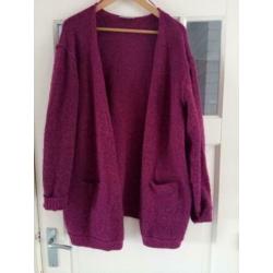 fuchsia roze vest van Fransa maat xxl