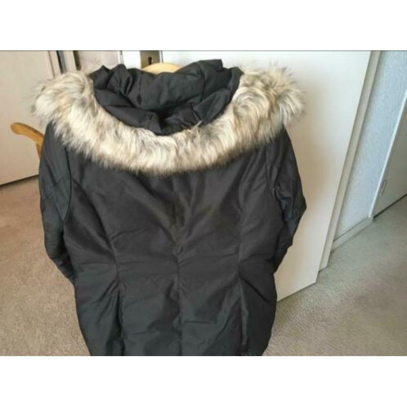 Te koop nieuwe origenele goldbergh dames winterjas