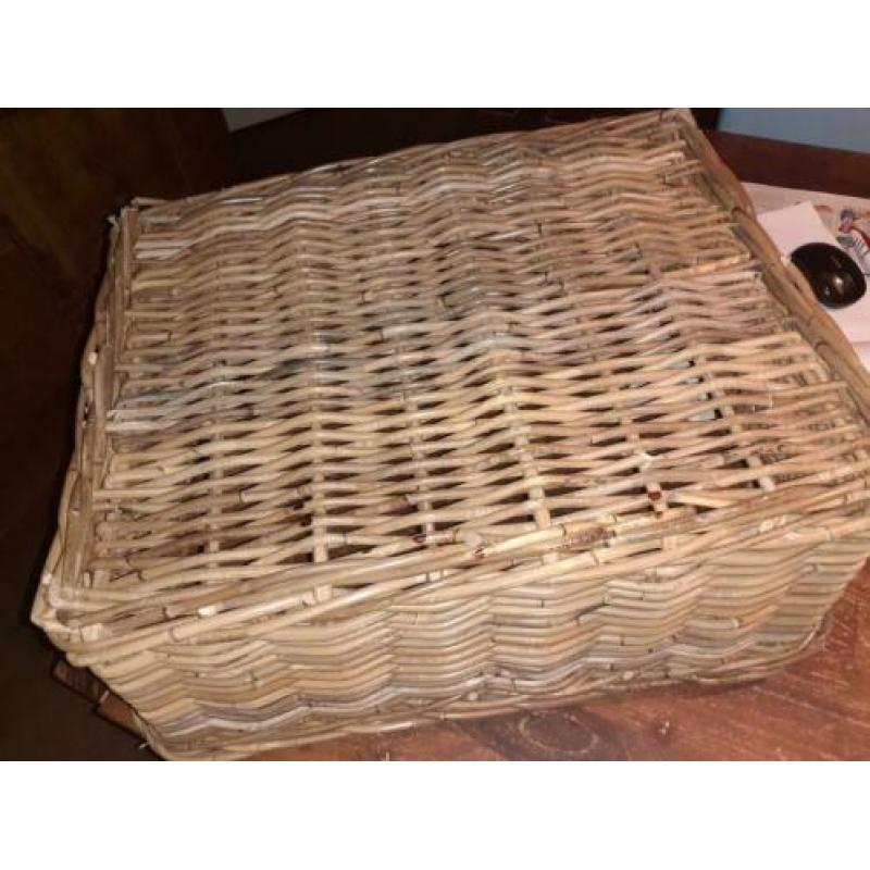Stevige rotan mand voor klein hondje of katten