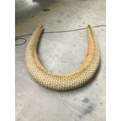Kabelaring en kopleguaan