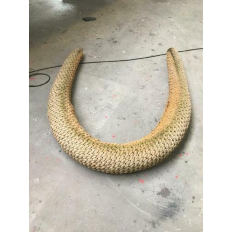 Kabelaring en kopleguaan