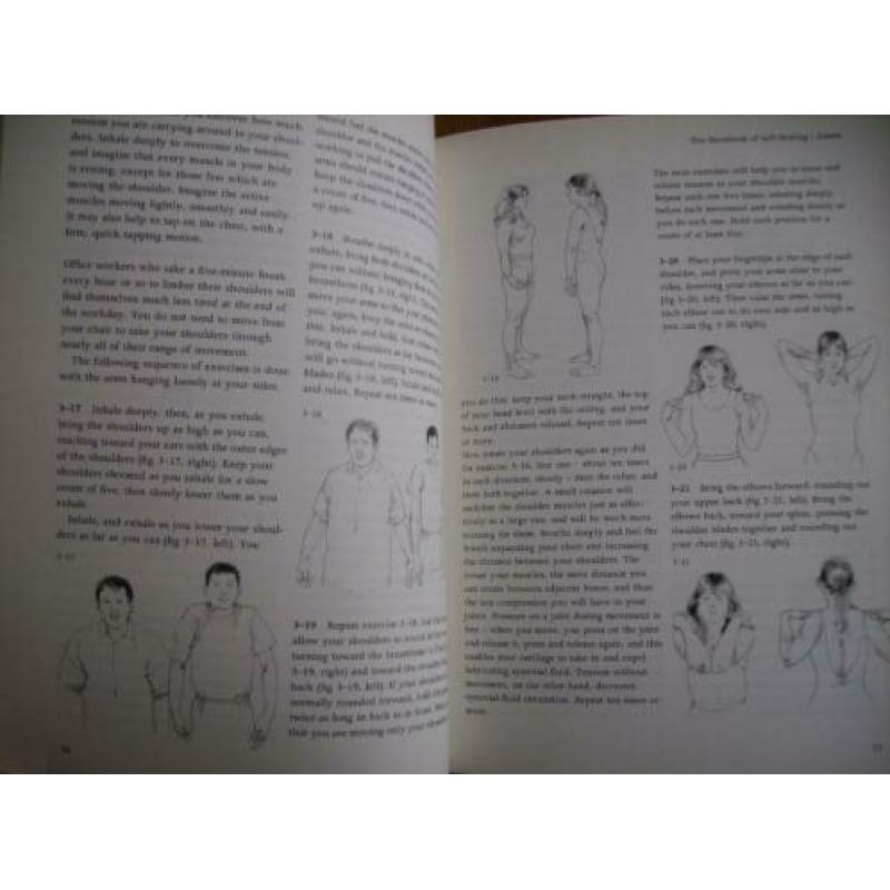 The Handbook of Self-Healing - Meir Schneider