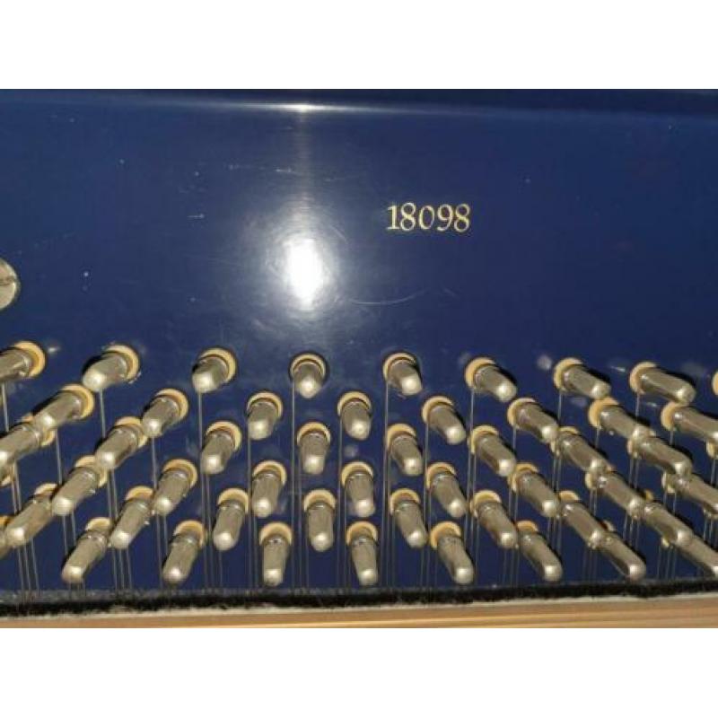 klima piano