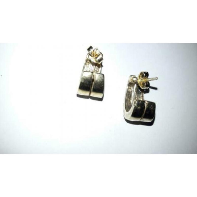 Oorbellen goud op zilver