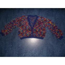 Te koop 100% wol blauw + veel kleuren vest, handmade: M