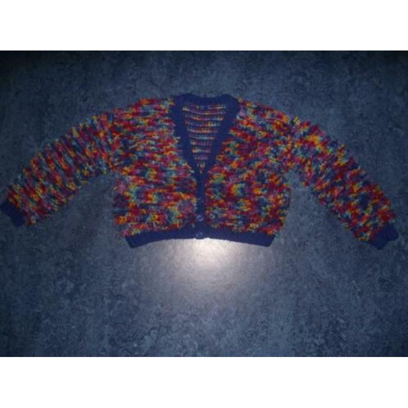 Te koop 100% wol blauw + veel kleuren vest, handmade: M