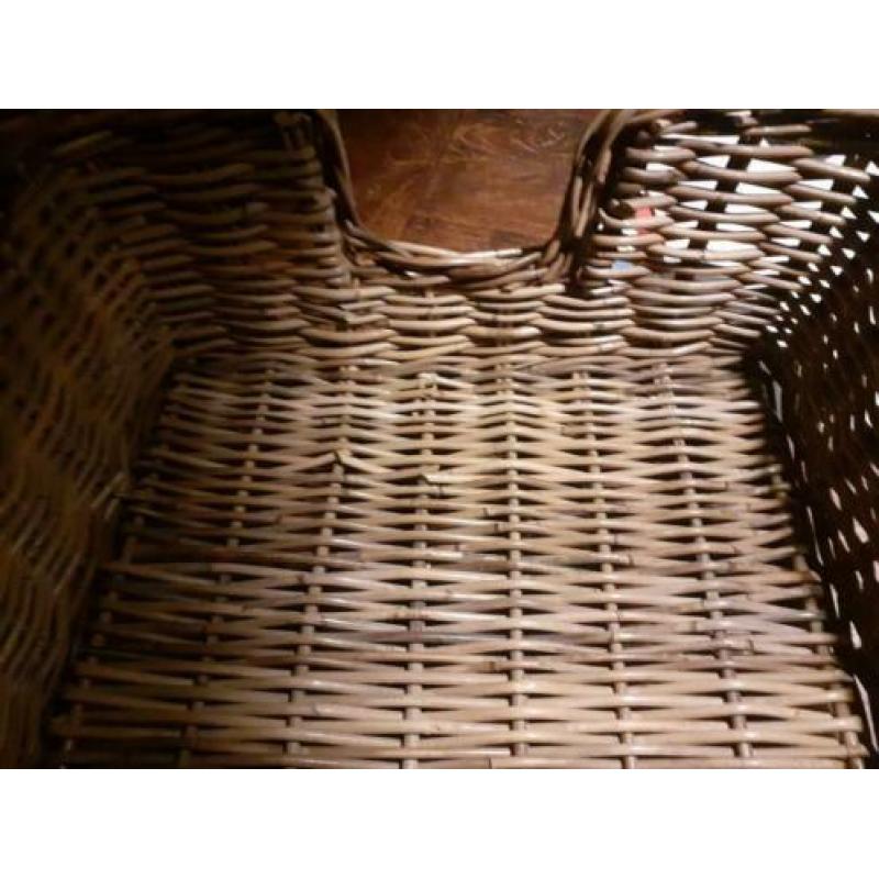 Stevige rotan mand voor klein hondje of katten