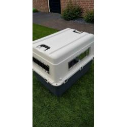 Bench Kennel Hond