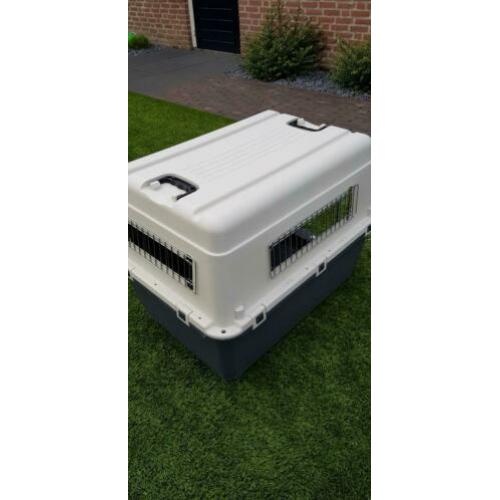Bench Kennel Hond