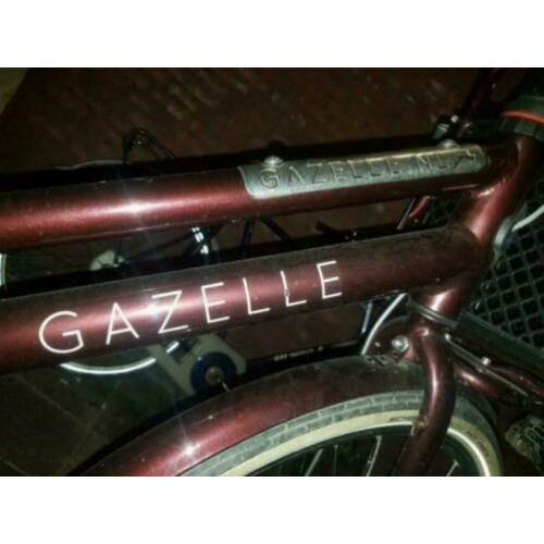 gazelle nl