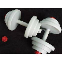 Halters. Dumbbells. Therapie. Fitness. Decoratie. Spaarpot.