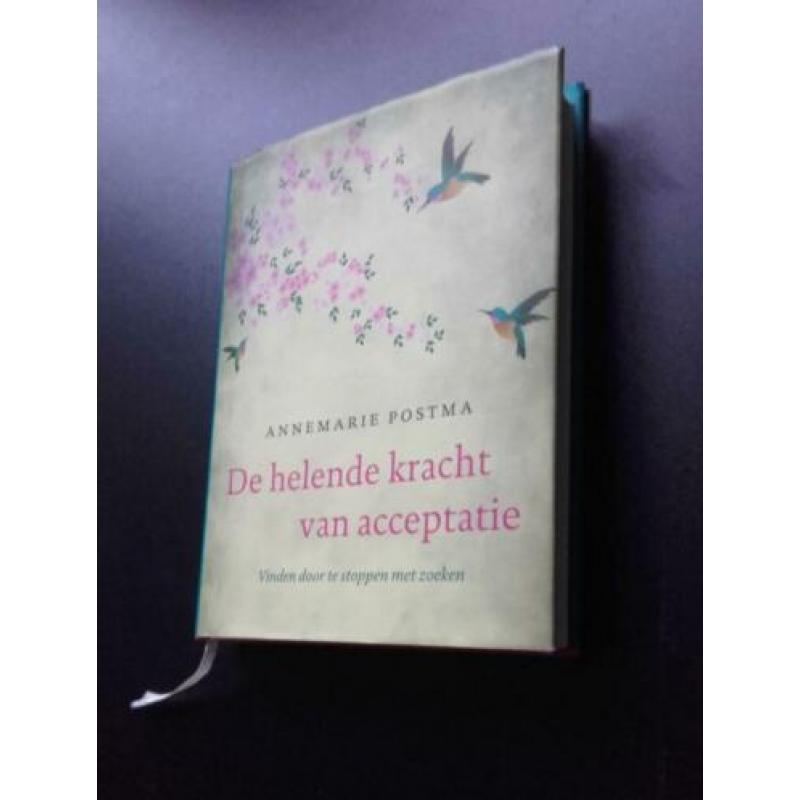 De helende kracht van acceptatie Annemarie Postma nieuwstaat