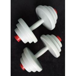 Halters. Dumbbells. Therapie. Fitness. Decoratie. Spaarpot.
