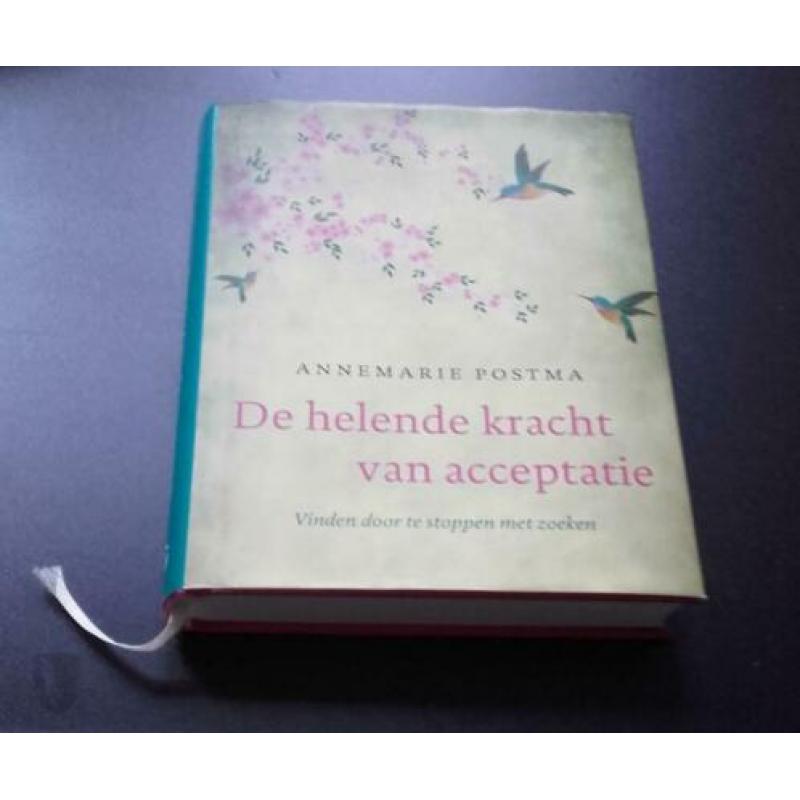 De helende kracht van acceptatie Annemarie Postma nieuwstaat