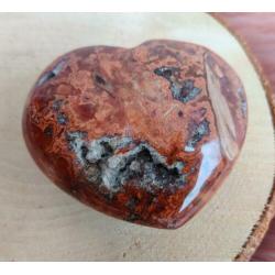 Hart Versteend Hout