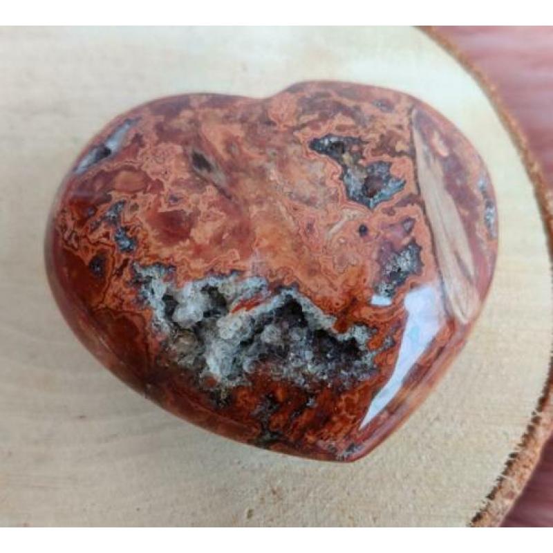 Hart Versteend Hout