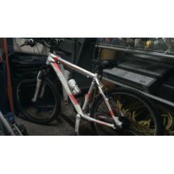 jongens mountenbike
