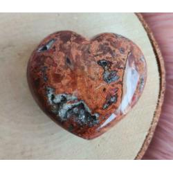 Hart Versteend Hout