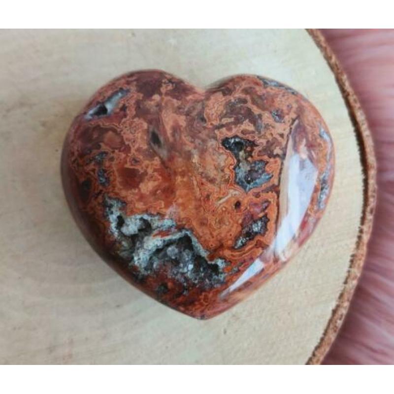 Hart Versteend Hout