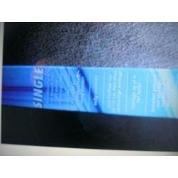 Raambeveiliging Barriere Stang 60/120 cm