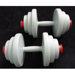 Halters. Dumbbells. Therapie. Fitness. Decoratie. Spaarpot.