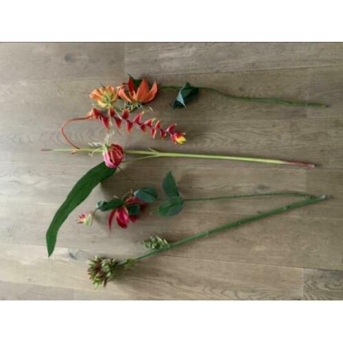 Nep tropisch bloemen