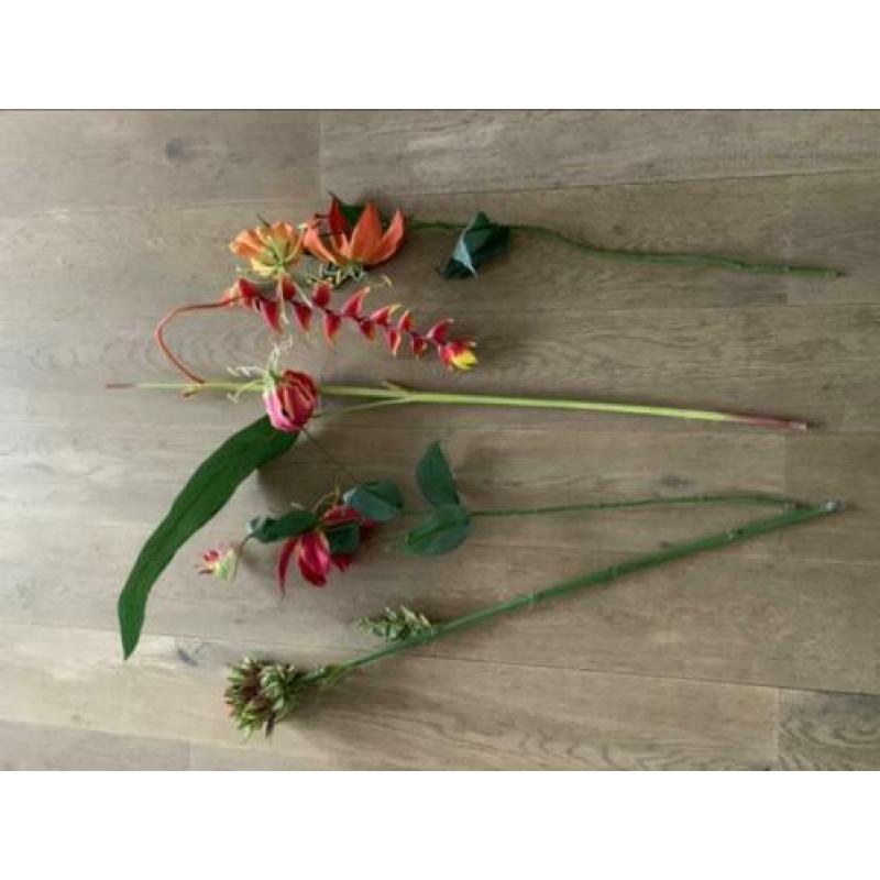 Nep tropisch bloemen