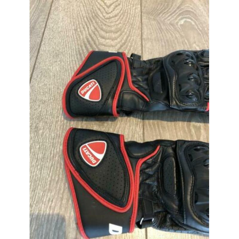 Ducati Alpinestars maat M leder race motorhandschoenen zwart