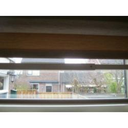 Raambeveiliging Barriere Stang 60/120 cm