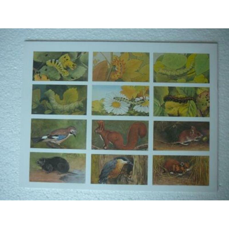 Herfst door Jac. P. Thijsse