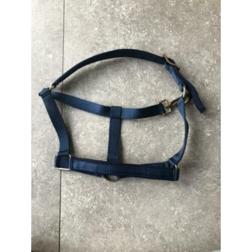 Bucas halster aqua blauw. Maat pony