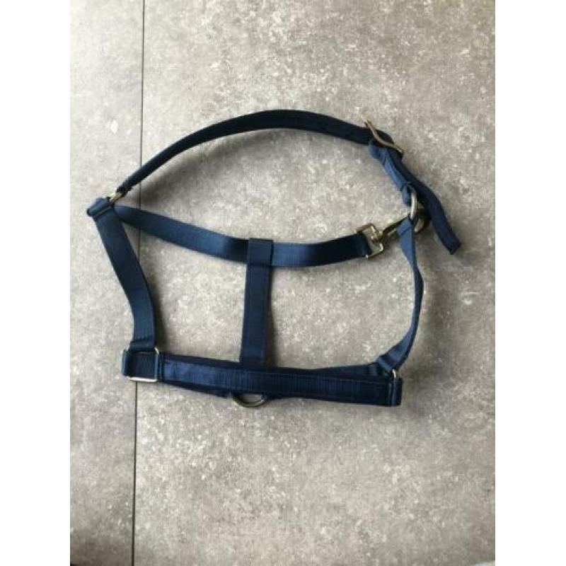 Bucas halster aqua blauw. Maat pony
