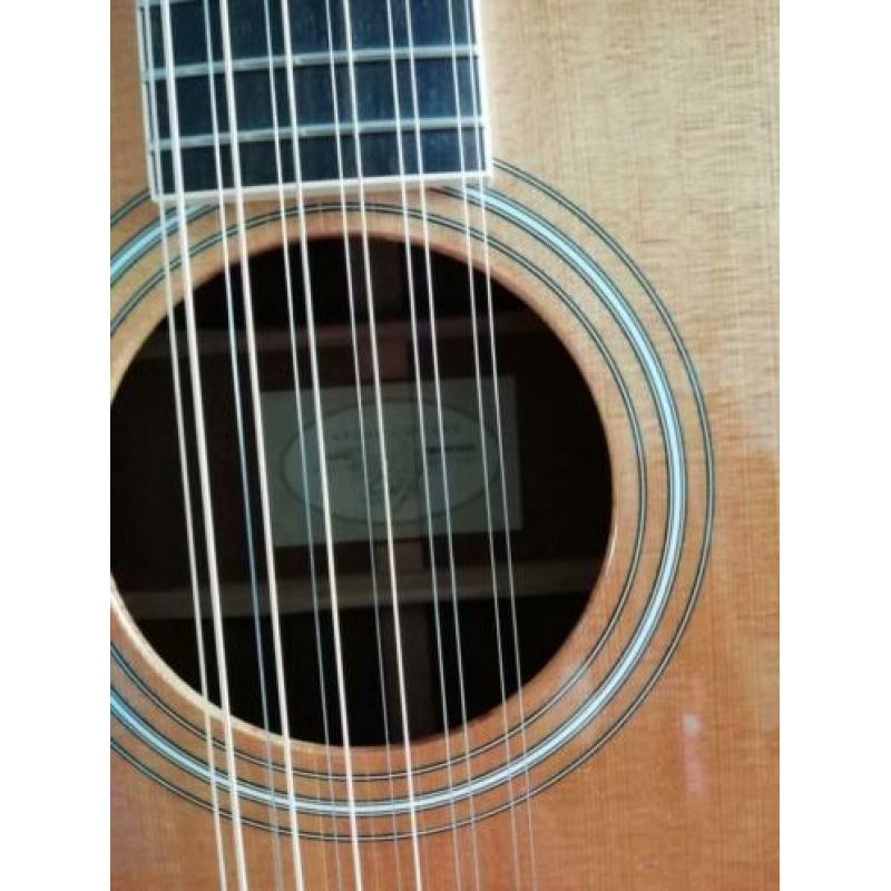 12 snarige Taylor GA3-12 gitaar