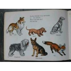 Retro boekjes Ik wil alles weten/Dieren, Dingen, Maten