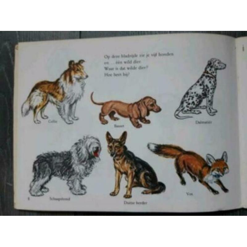 Retro boekjes Ik wil alles weten/Dieren, Dingen, Maten