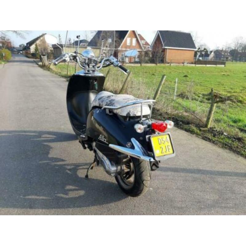Sym allo cello