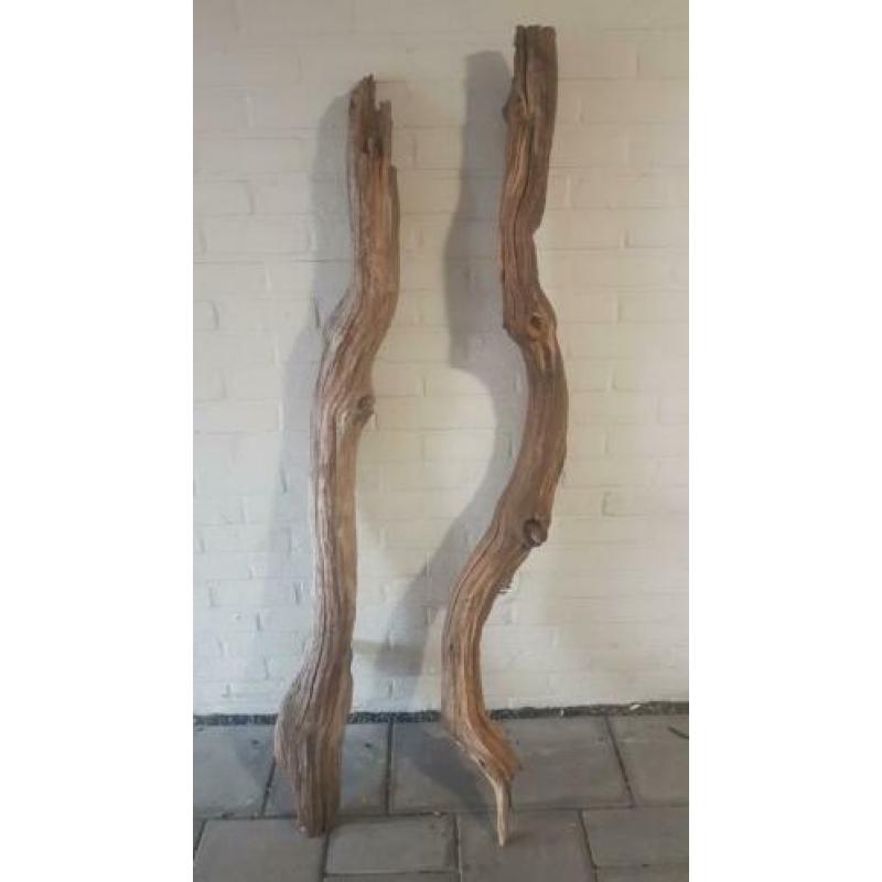 2x driftwood prachtige stronken 1.60-1.80