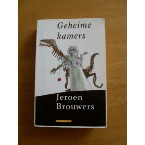 'Geheime kamers' Jeroen Brouwers
