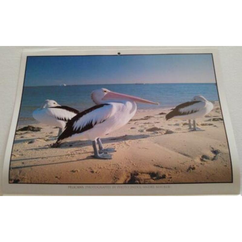 Australian Birds Calendar 2003