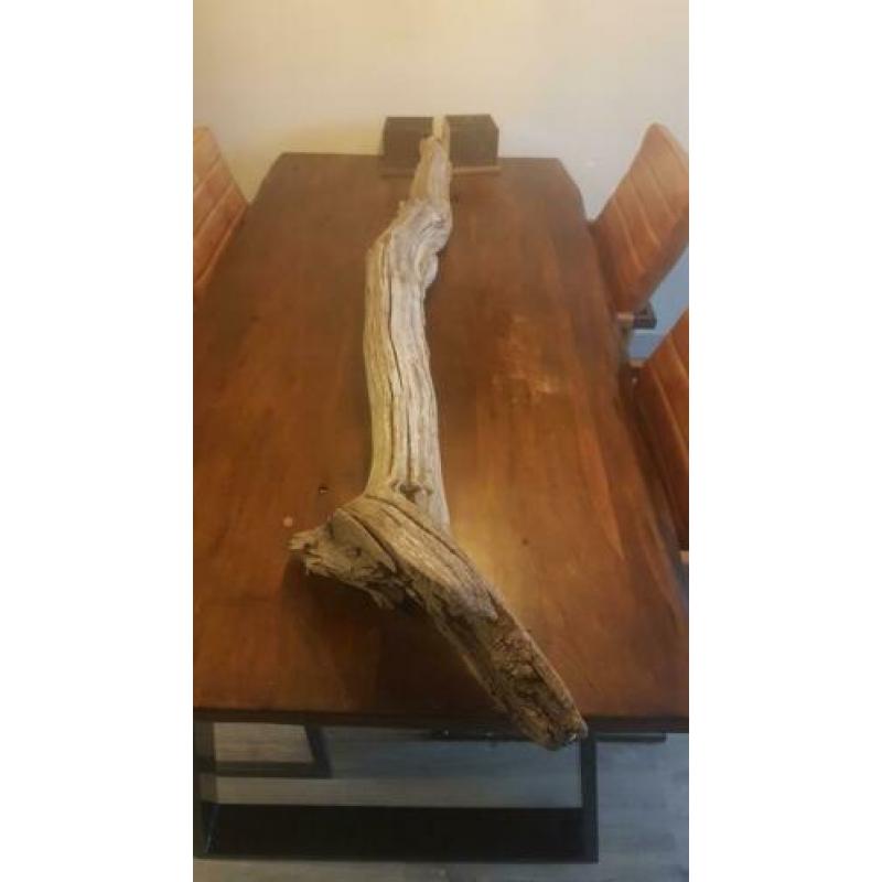 2x driftwood prachtige stronken 1.60-1.80